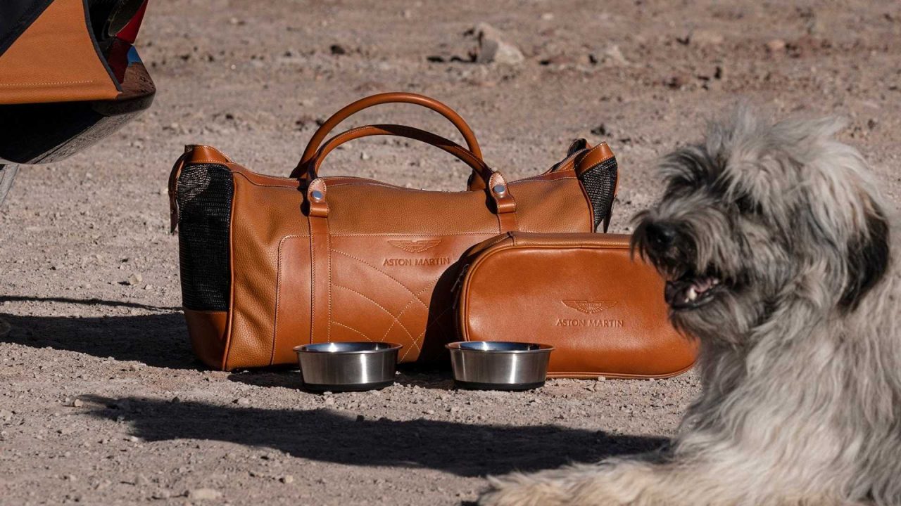 aston-martin-dbx-accessories (1)
