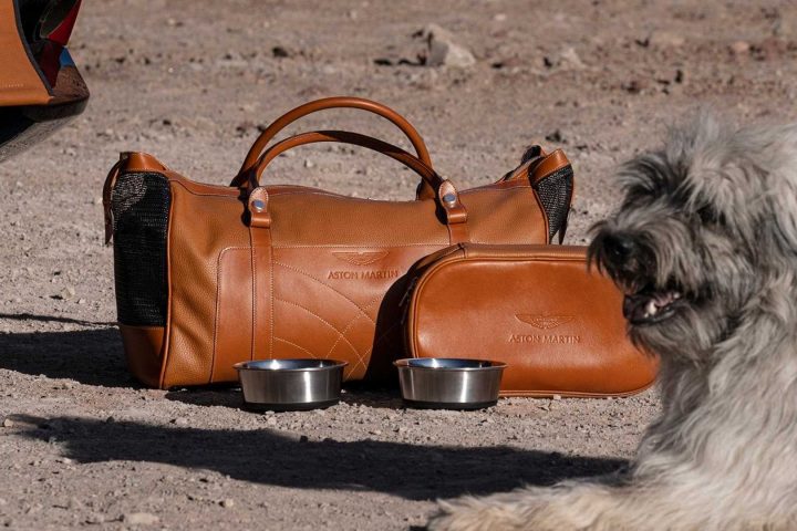 aston-martin-dbx-accessories (1)