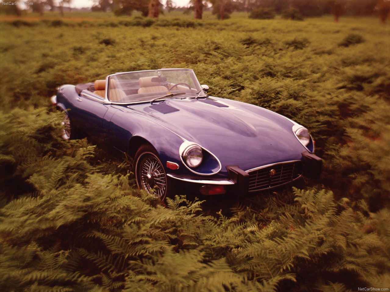 Jaguar-E-Type-1971-1280-02