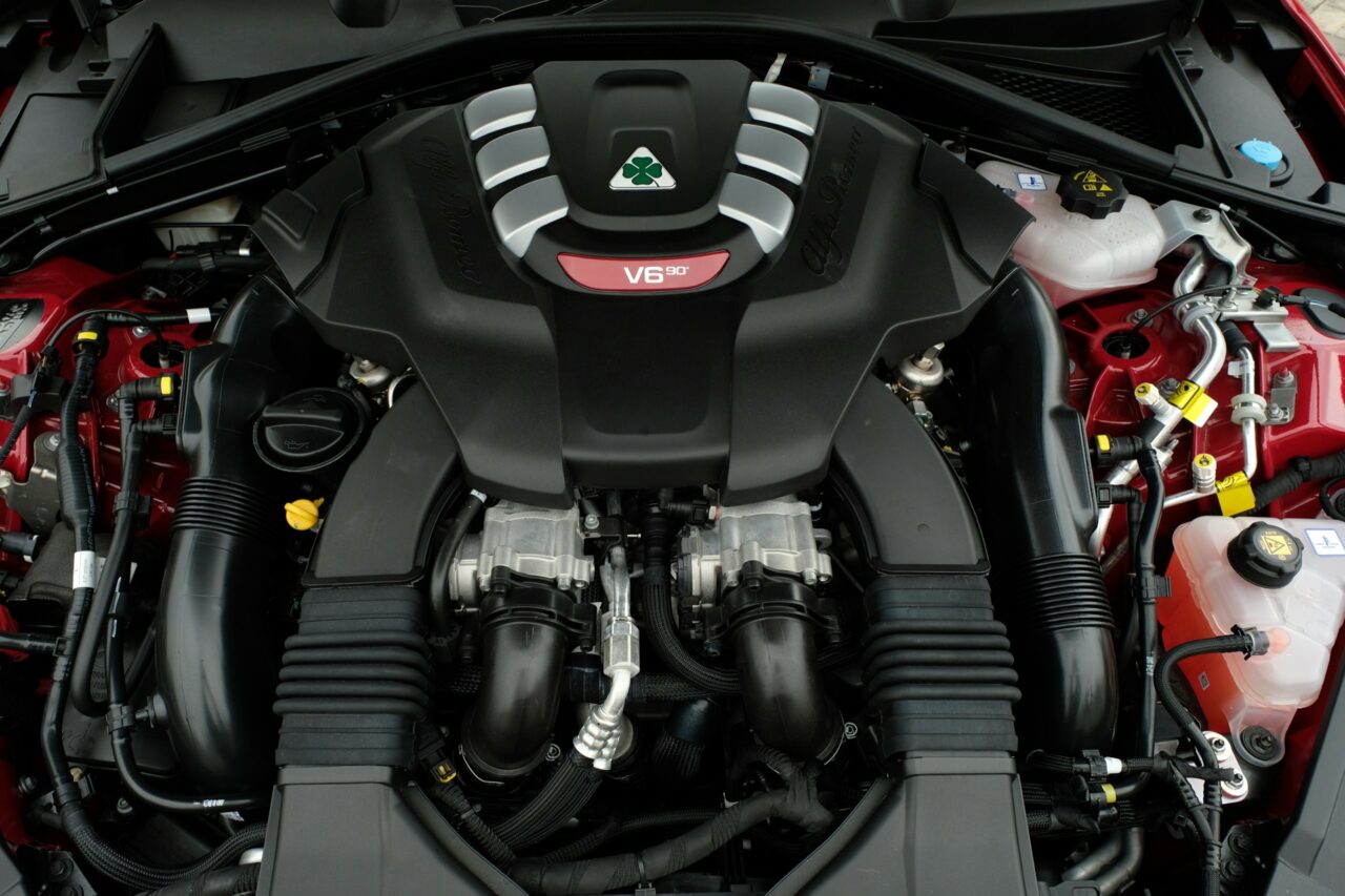 DSCF3794-bbwm-resized-bbwm-resized